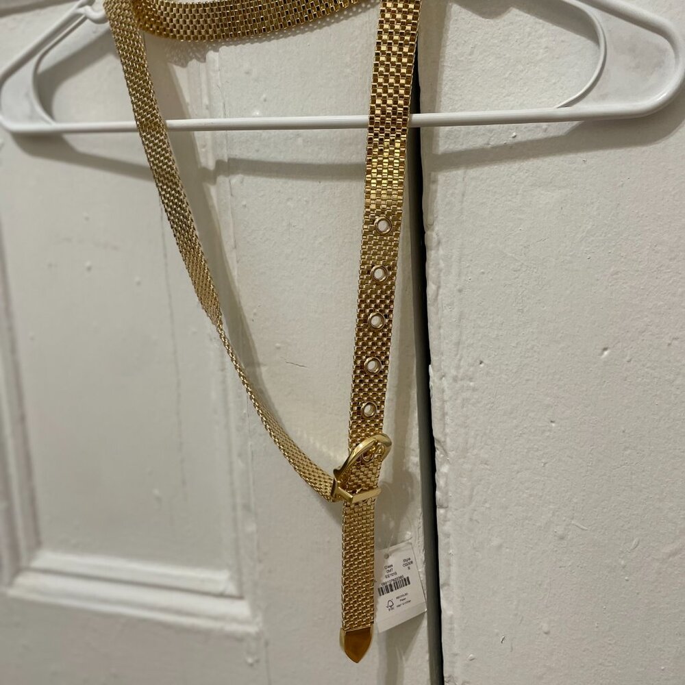 J. Crew gold watchband chain belt - Picture 2 of 3